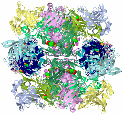 Image Biological Unit 1