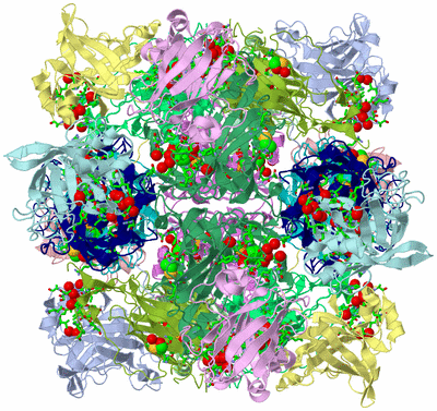 Image Biol. Unit 1 - sites