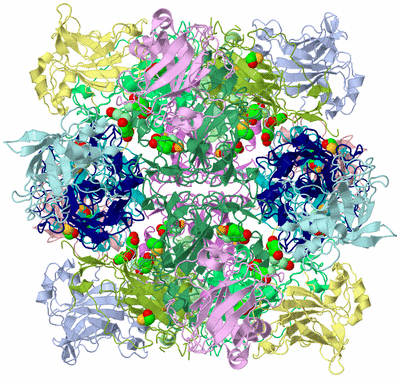 Image Biological Unit 1