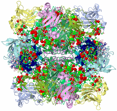 Image Biol. Unit 1 - sites