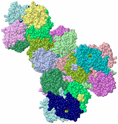 Image Biological Unit 1