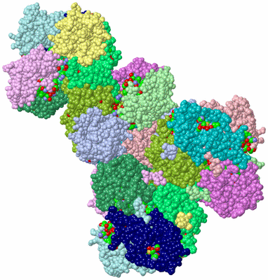 Image Biol. Unit 1 - sites