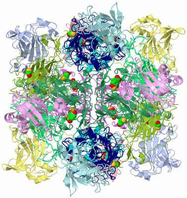 Image Biological Unit 1