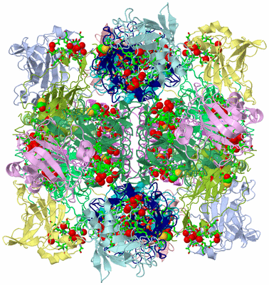 Image Biol. Unit 1 - sites