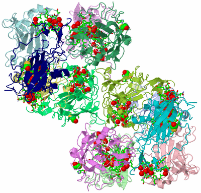 Image Asym. Unit - sites