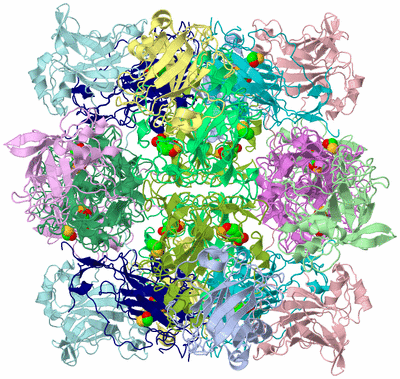 Image Biological Unit 1