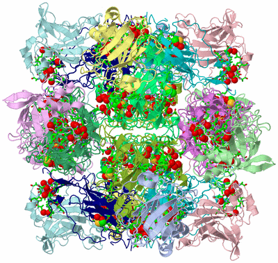 Image Biol. Unit 1 - sites