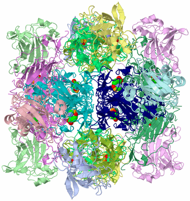 Image Biological Unit 1