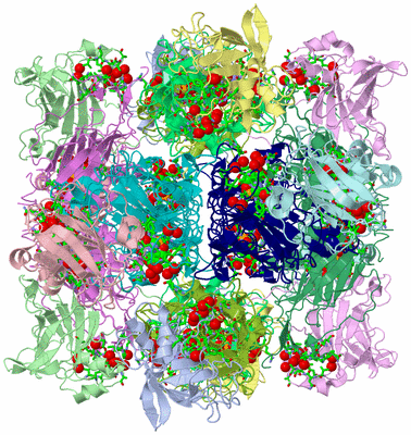 Image Biol. Unit 1 - sites