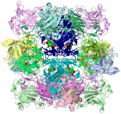 Image Biological Unit 1