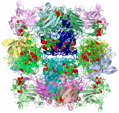 Image Biol. Unit 1 - sites