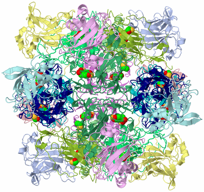 Image Biological Unit 1