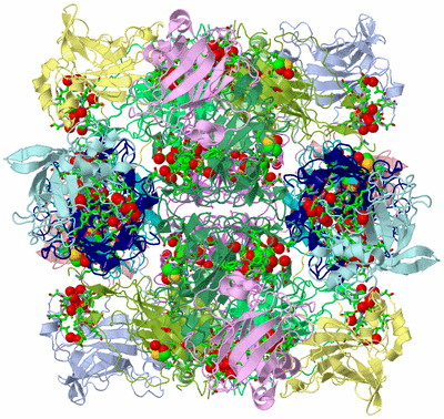 Image Biol. Unit 1 - sites