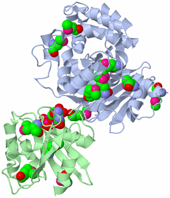 Image Asym./Biol. Unit