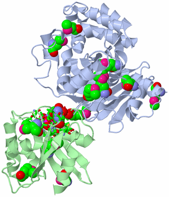 Image Asym./Biol. Unit - sites