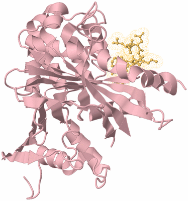 Image Biological Unit 3