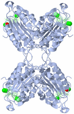 Image Biological Unit 2