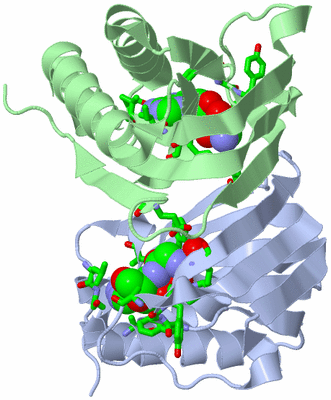 Image Asym./Biol. Unit - sites