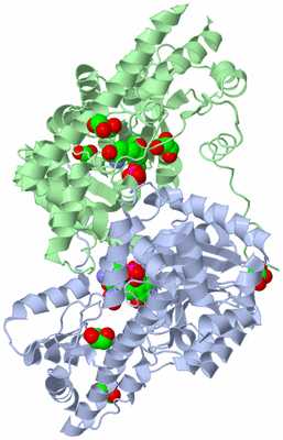 Image Biological Unit 1