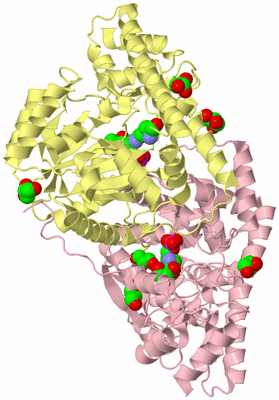 Image Biological Unit 2