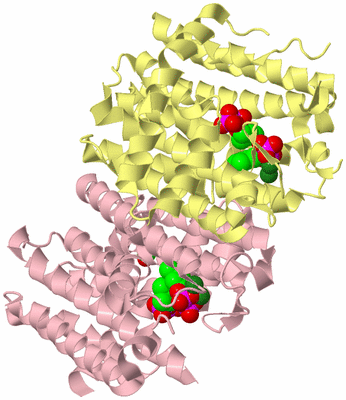 Image Biological Unit 2