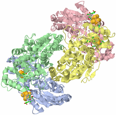 Image Biol. Unit 1 - sites