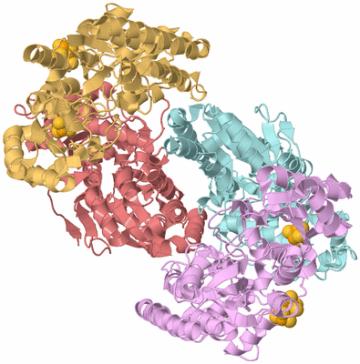 Image Biological Unit 2