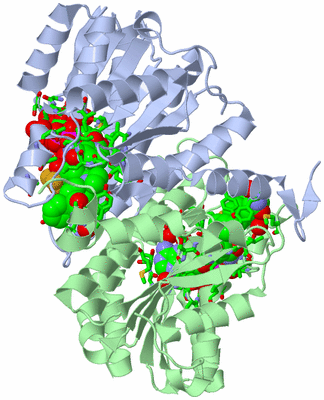 Image Biol. Unit 1 - sites