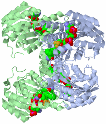 Image Biological Unit 2