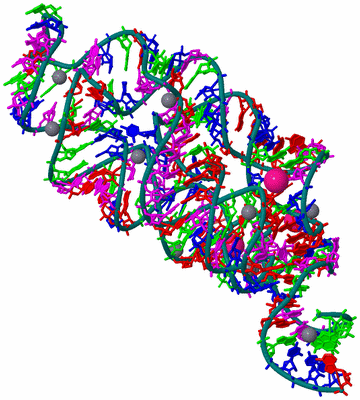 Image Biological Unit 1