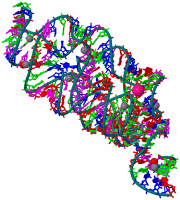 Image Biol. Unit 1 - sites