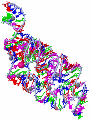 Image Biological Unit 2