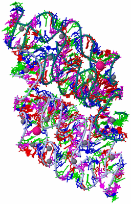 Image Biological Unit 3