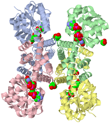 Image Biological Unit 1