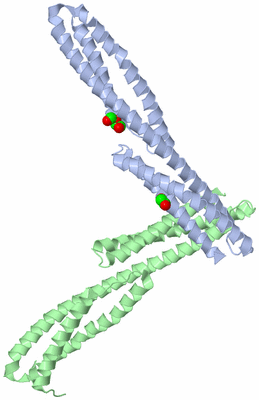 Image Biological Unit 3