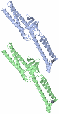 Image Asymmetric Unit