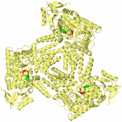 Image Biological Unit 2