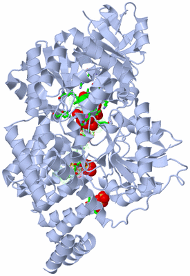 Image Biol. Unit 1 - sites