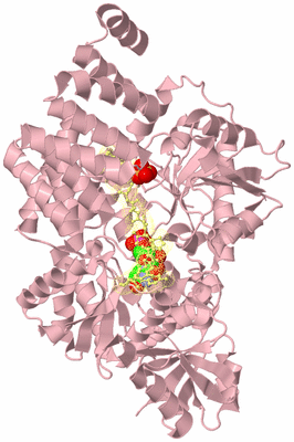 Image Biological Unit 2