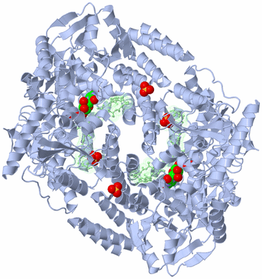 Image Biological Unit 3