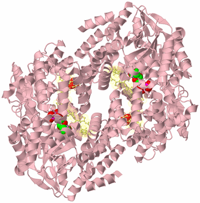 Image Biological Unit 4