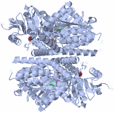 Image Biological Unit 1