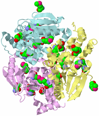 Image Biological Unit 2