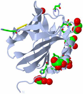 Image Biol. Unit 1 - sites