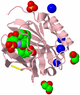 Image Biological Unit 3