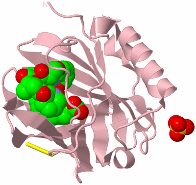 Image Biological Unit 3