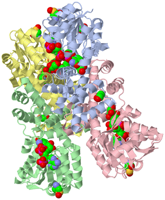 Image Biological Unit 1