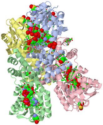 Image Biol. Unit 1 - sites