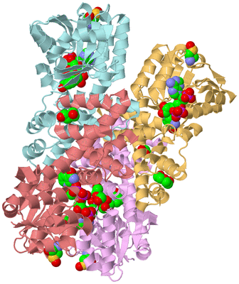 Image Biological Unit 2