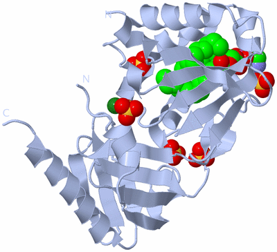 Image Biological Unit 1